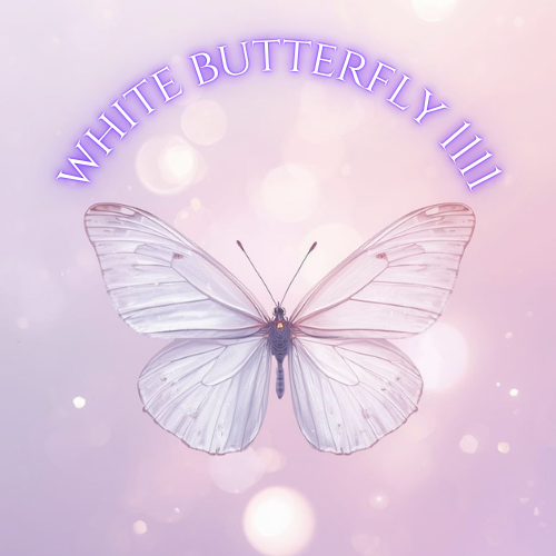 White Butterfly 1111